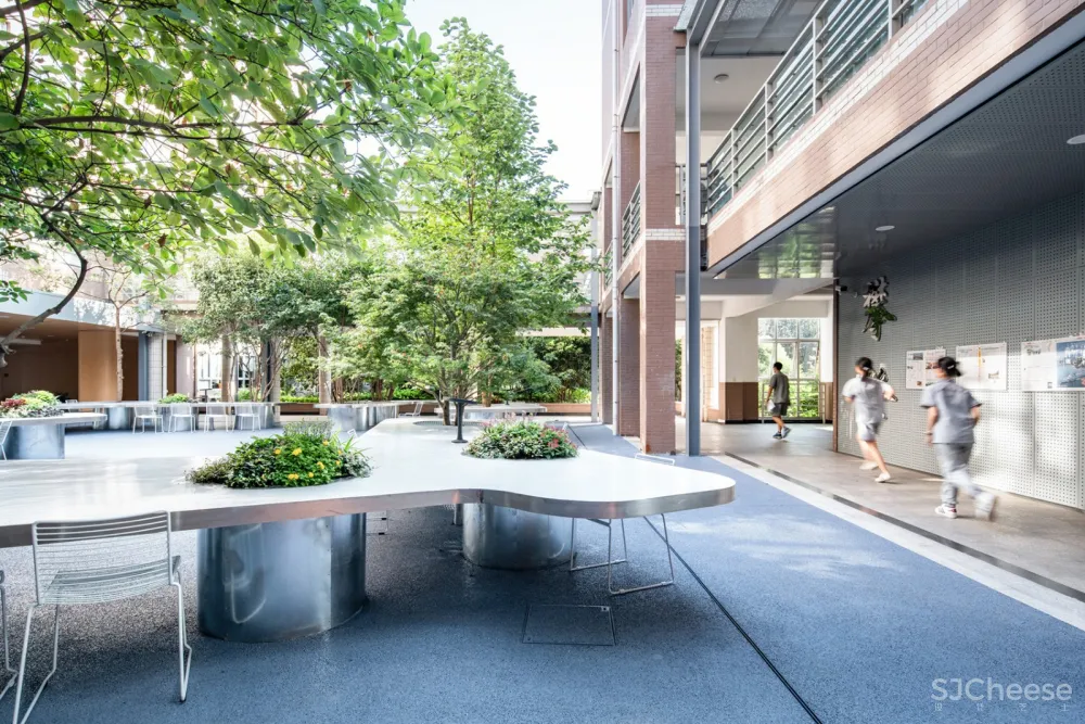 树桌花园,上海 / 大观景观设计