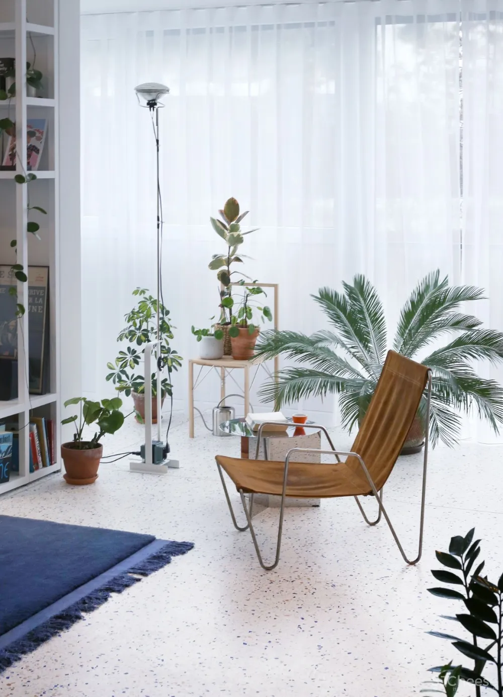 最新 | 绿色植物明亮现代公寓 Mesarska