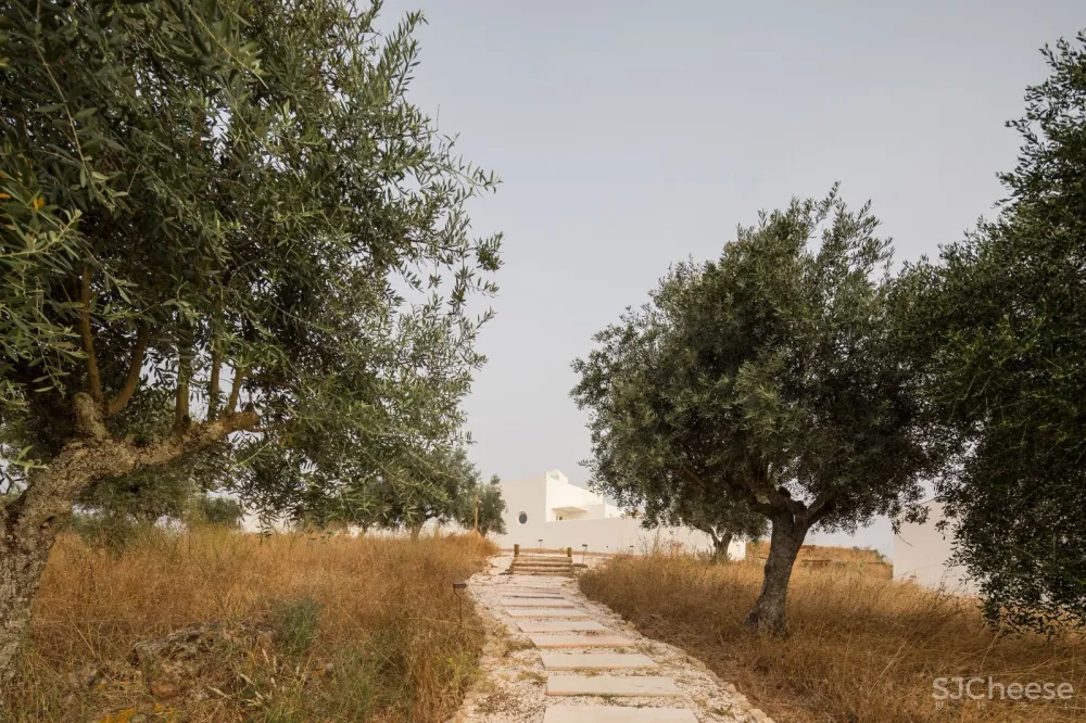 首发 | 葡萄牙手工艺精品酒店 Da Licenca Boutique Hotel