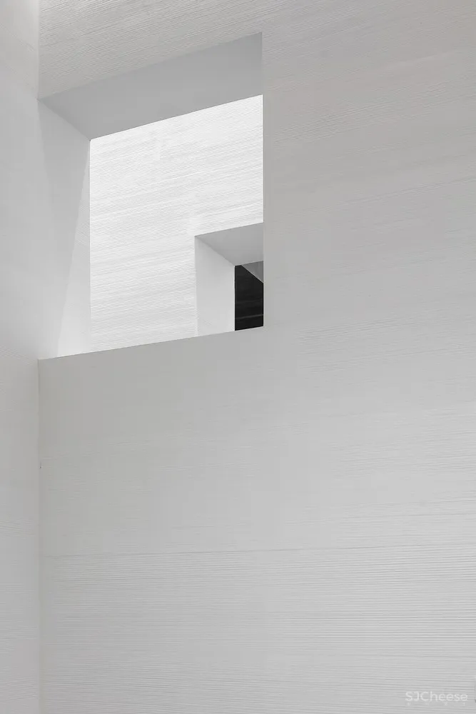 最新 | 水相设计:观看之道 首