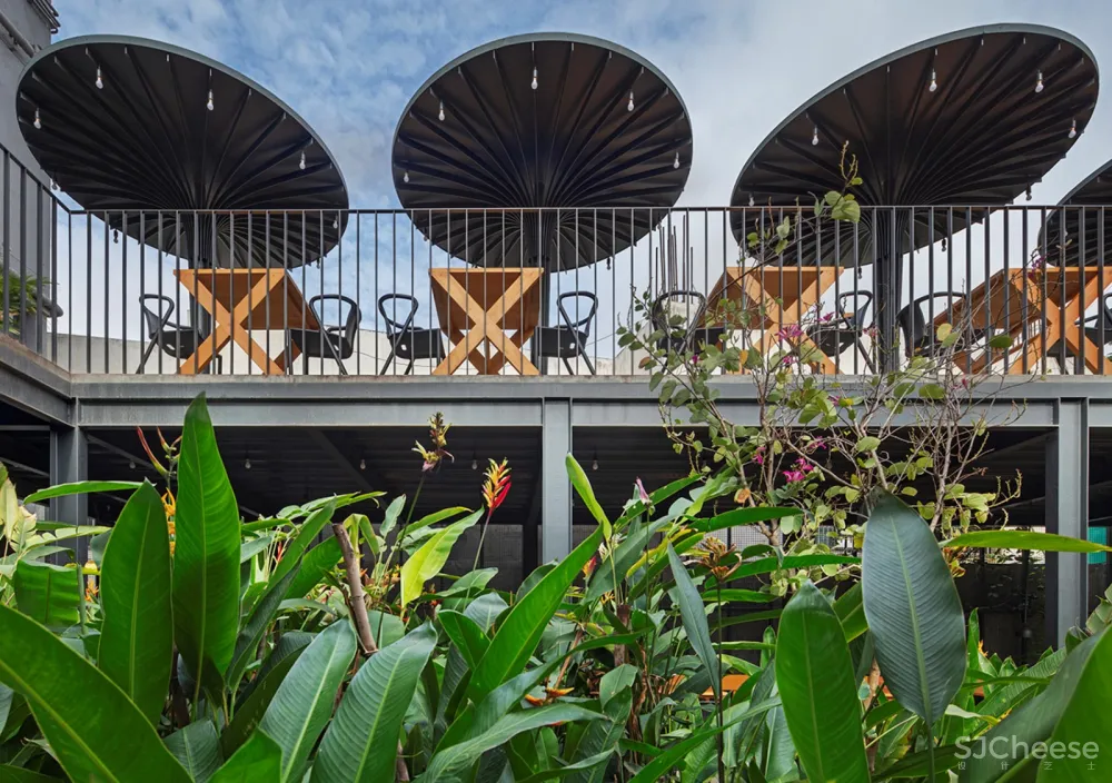 Sunrise花园餐厅,印度 / M9 Design Studio 首