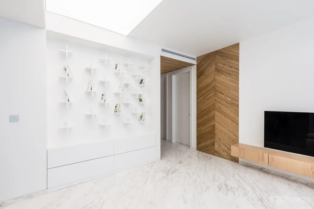 Rooydaad Architects | 光、空间、秩序的建筑模式 Tehran Apartment 首