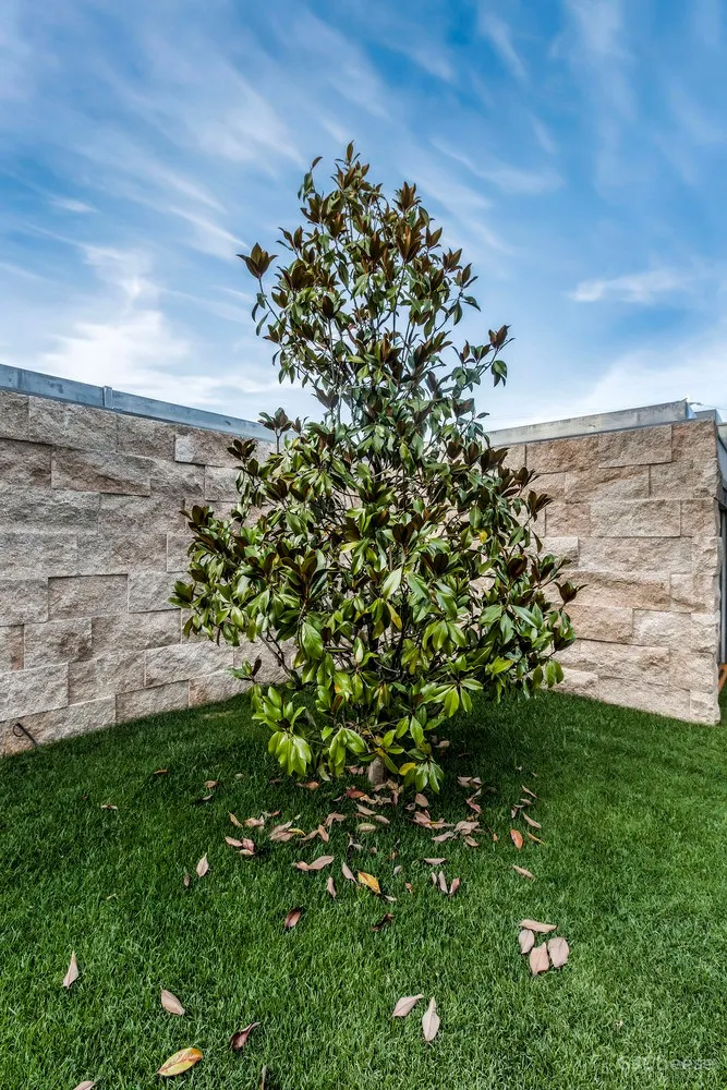 FCC Arquitectura | 葡萄牙拥有大地形区域的别墅 Campo das Paulas