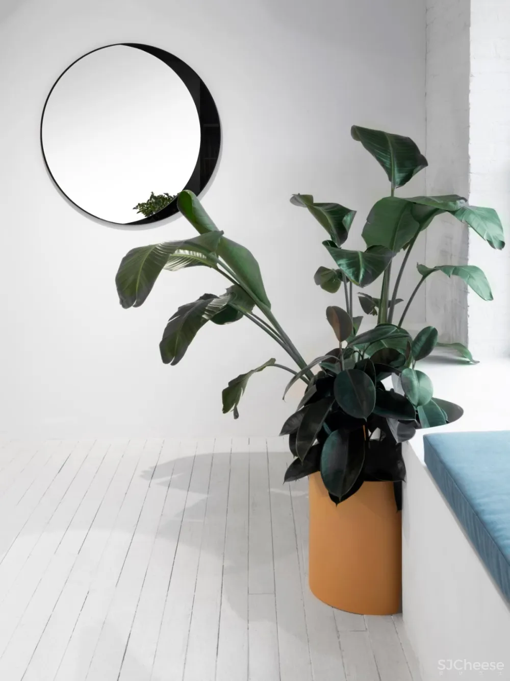 首发 | Bower设计纽约极简女鞋品牌空间Gray Matters 首