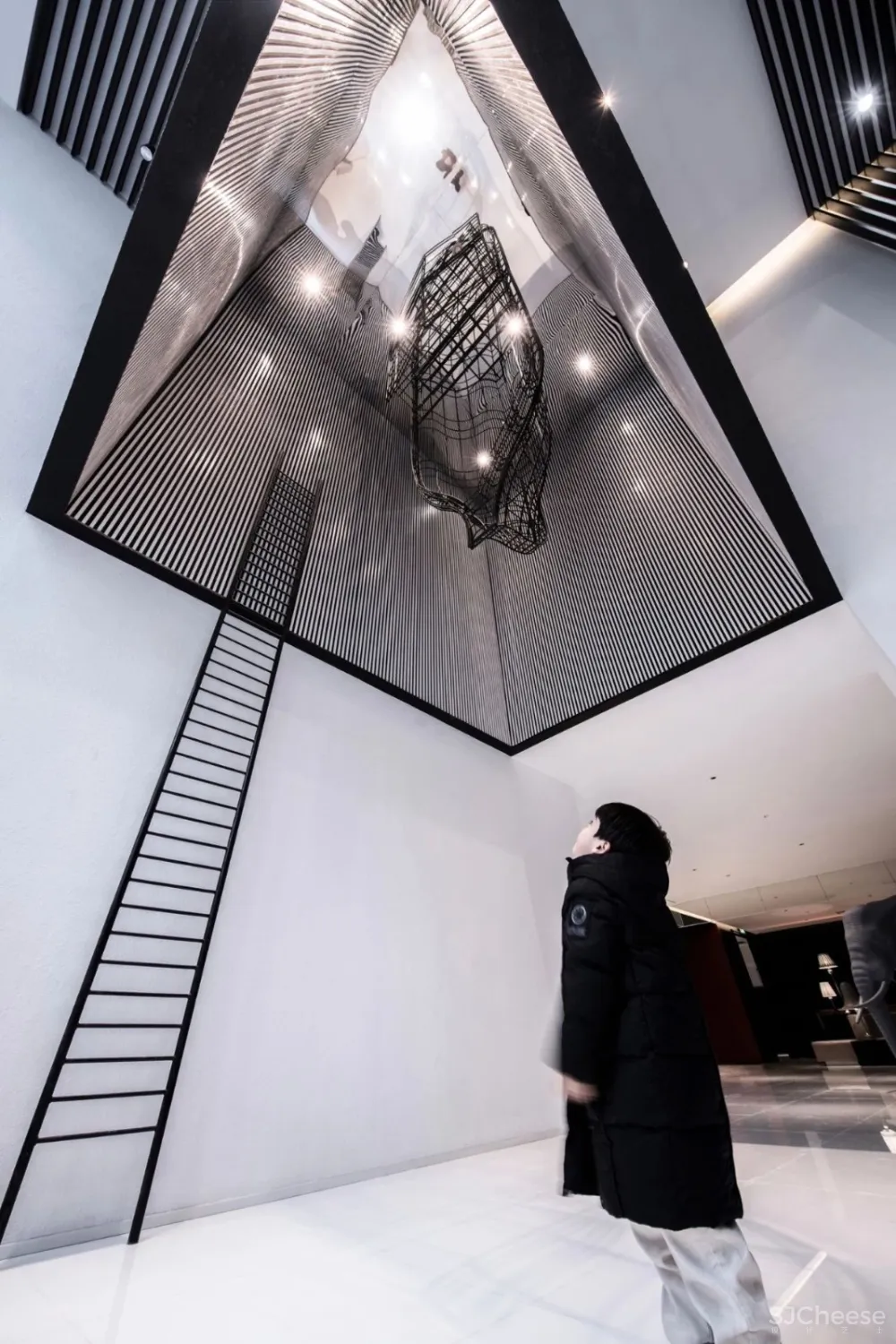 最新 | 为了爱，李想设计了中国首家动物艺术酒店，惊艳杭州 首