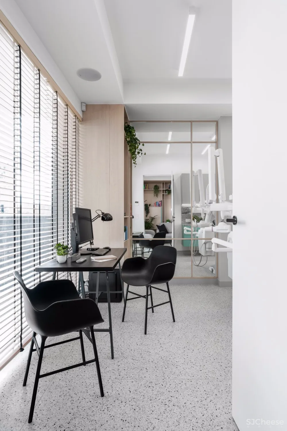 波兰清新风牙科诊所 | Raca Architekci