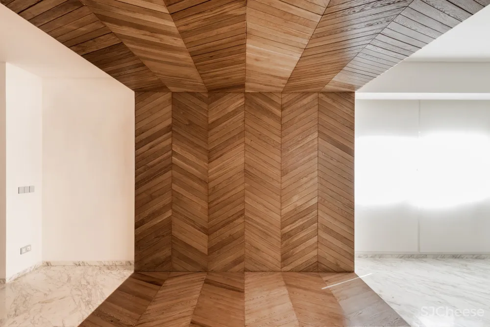 Rooydaad Architects | 光、空间、秩序的建筑模式 Tehran Apartment 首