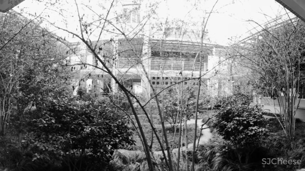 树桌花园,上海 / 大观景观设计