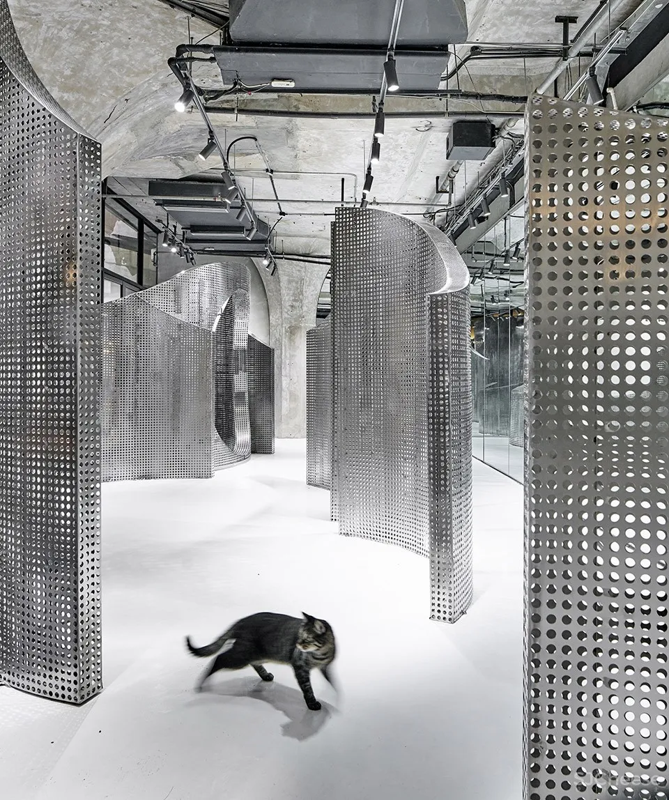 最新 I.F.S.E. SPACE CREATIVE LAB | 上海“动物脊背”零售空间设计 首