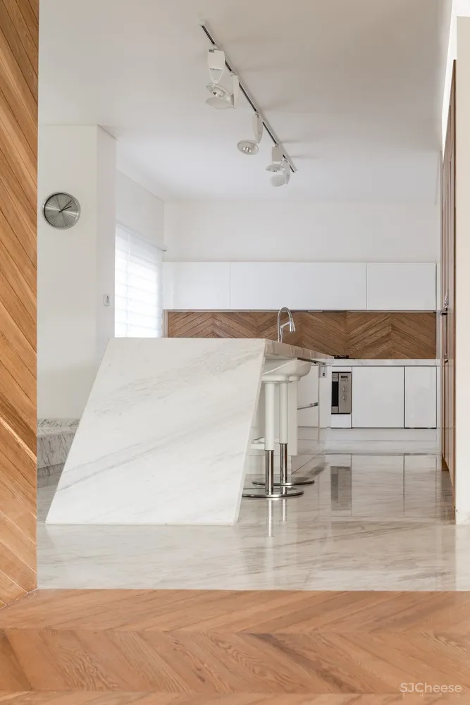 Rooydaad Architects | 光、空间、秩序的建筑模式 Tehran Apartment 首