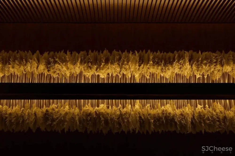 诗入空间,一场‘逐梦’之旅 | 孙天文最新力作 首