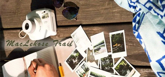 【GND设计】有个性有温度的紧凑刚需户型样板房设计方案