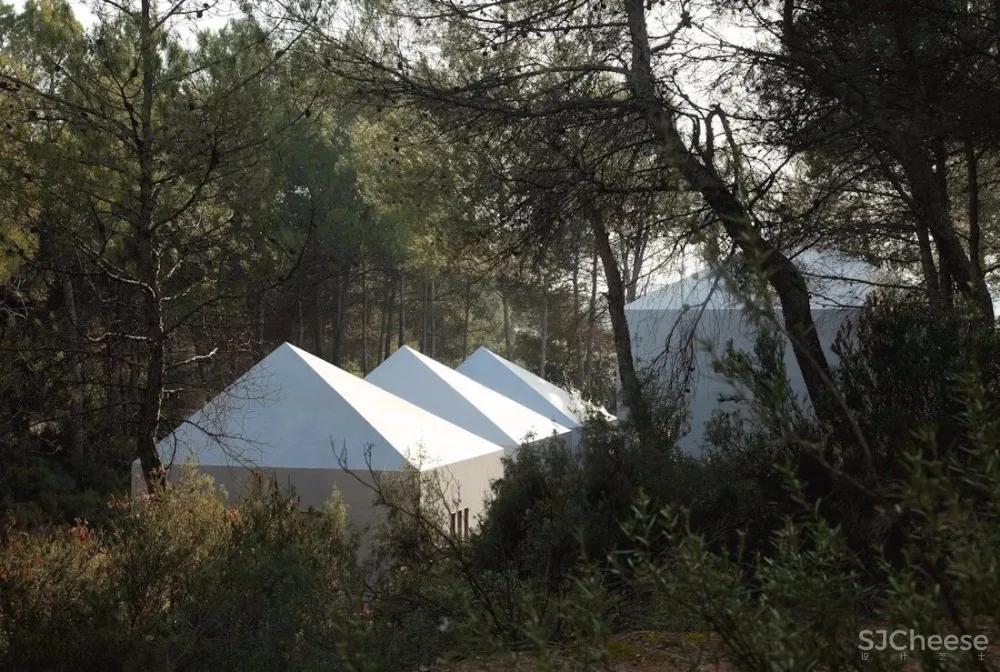 废弃工棚里的顶级米其林餐厅:我们是一家带餐厅的「 厨房 」