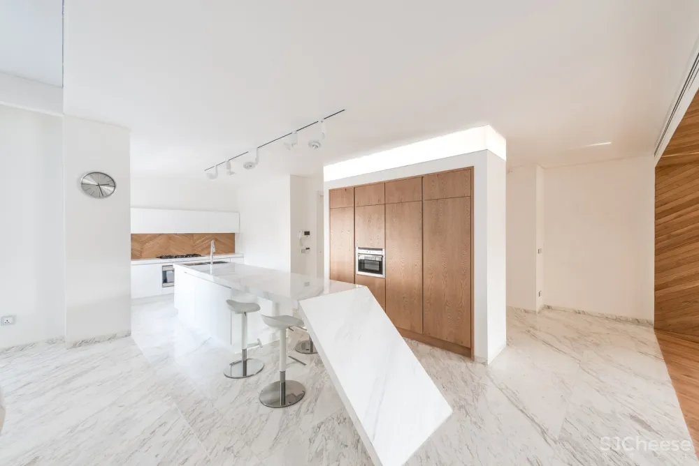 Rooydaad Architects | 光、空间、秩序的建筑模式 Tehran Apartment 首