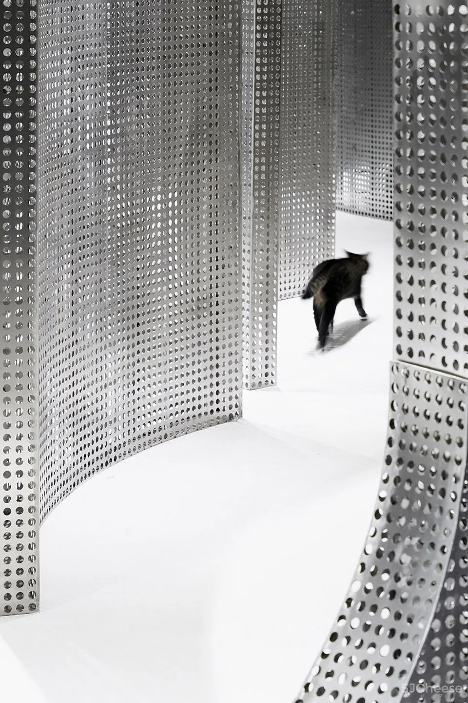 最新 I.F.S.E. SPACE CREATIVE LAB | 上海“动物脊背”零售空间设计 首