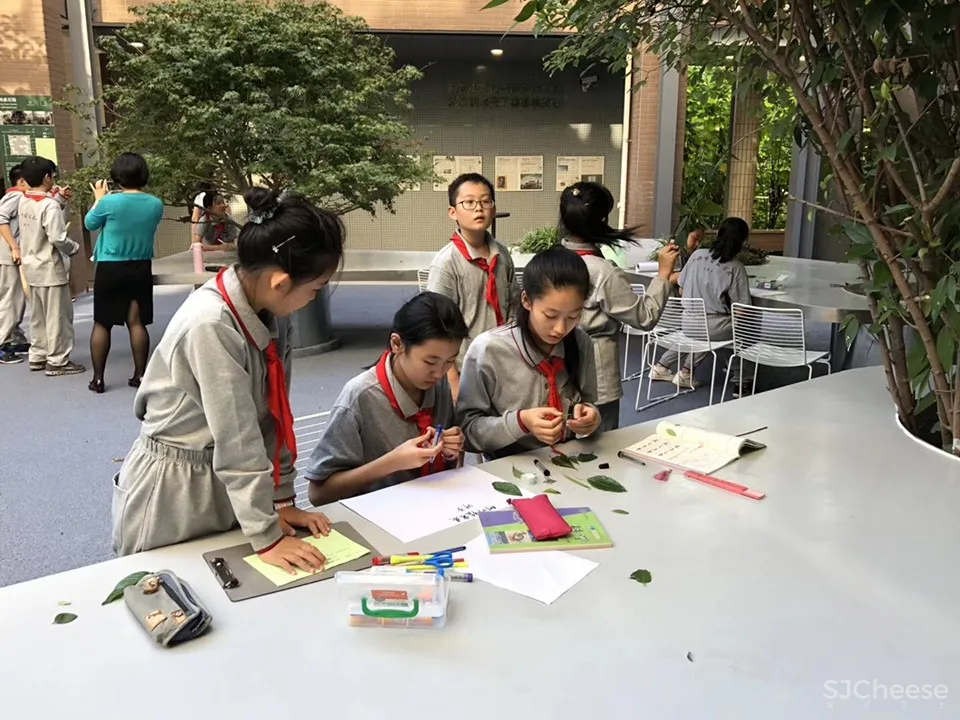 树桌花园,上海 / 大观景观设计