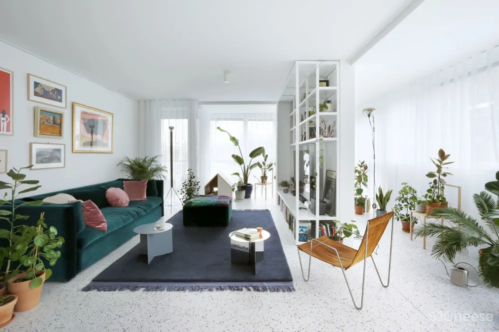 最新 | 绿色植物明亮现代公寓 Mesarska