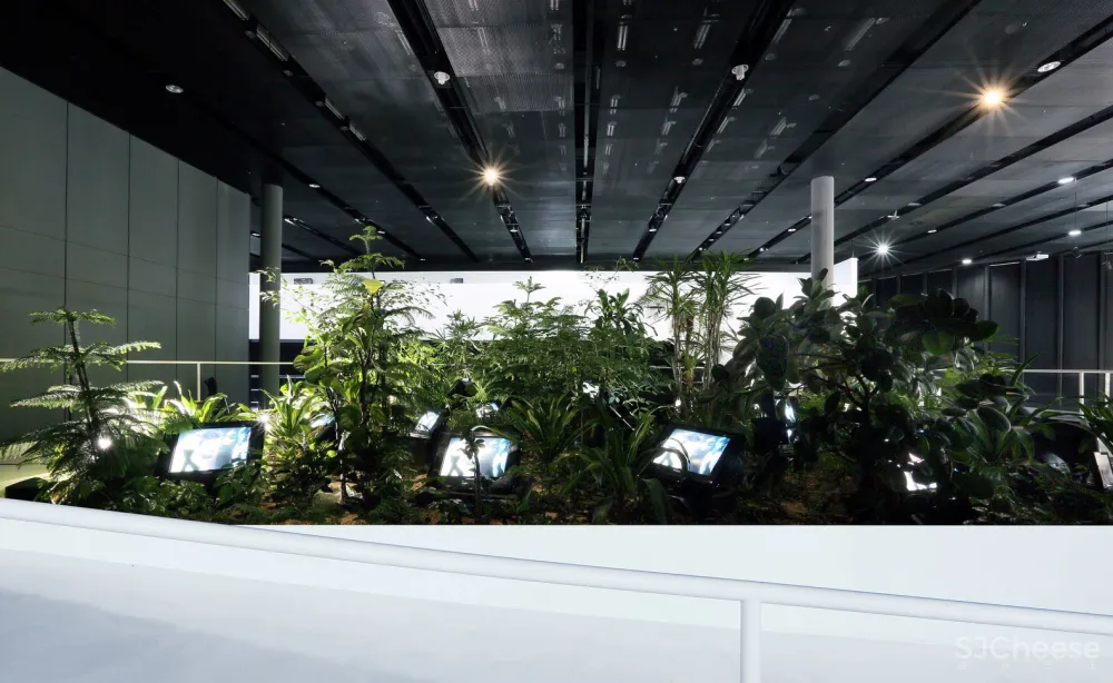 N H D M Architects | 白南准艺术中心翻新 首