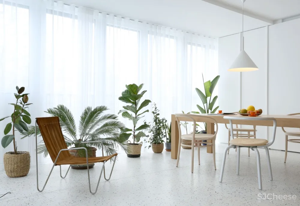 最新 | 绿色植物明亮现代公寓 Mesarska