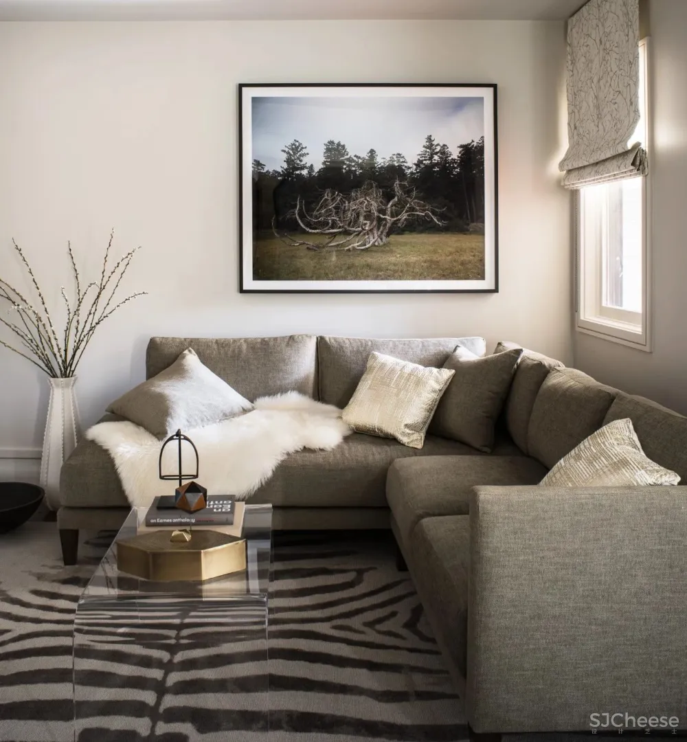 Cook Construction | 旧金山的设计精神和幽默感