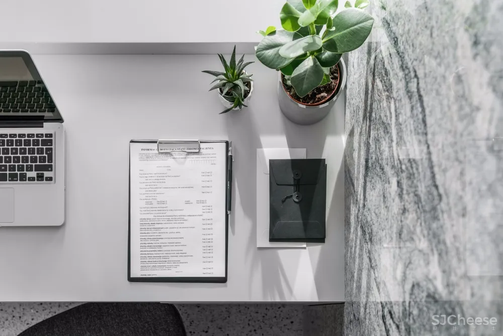 波兰清新风牙科诊所 | Raca Architekci