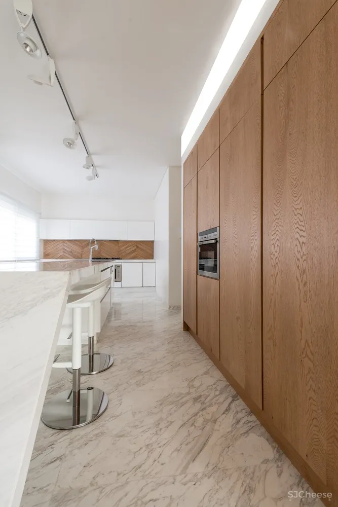 Rooydaad Architects | 光、空间、秩序的建筑模式 Tehran Apartment 首