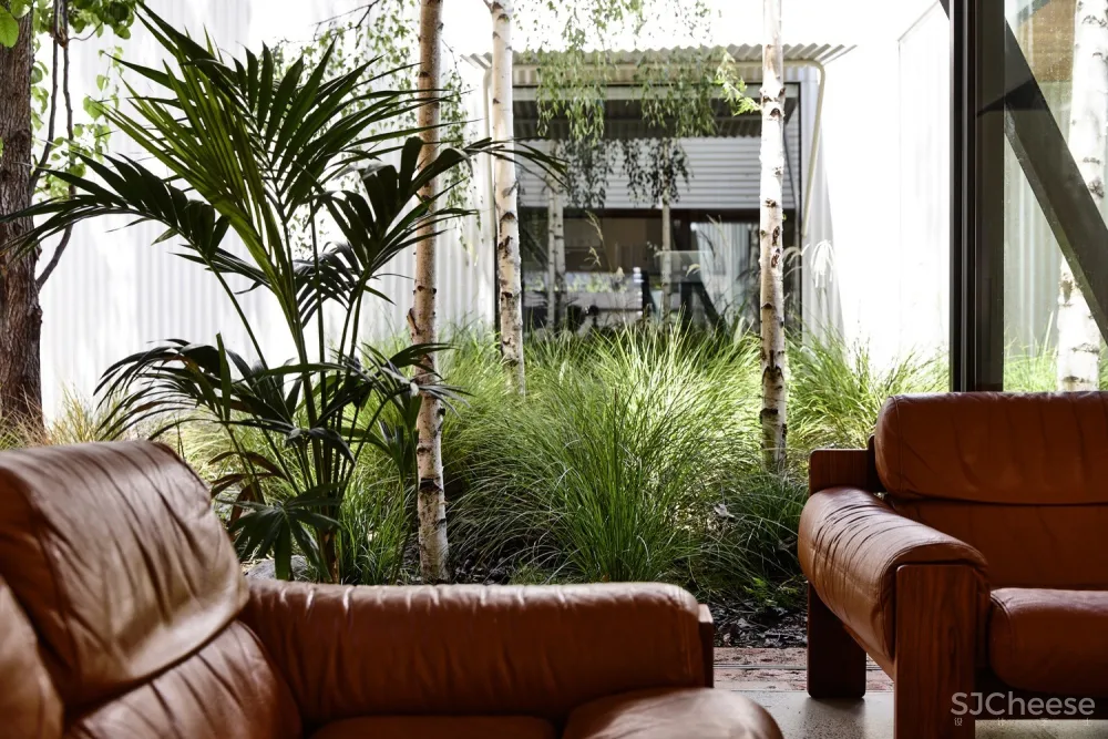 Austin Maynard Architects | King Bill 四口之家