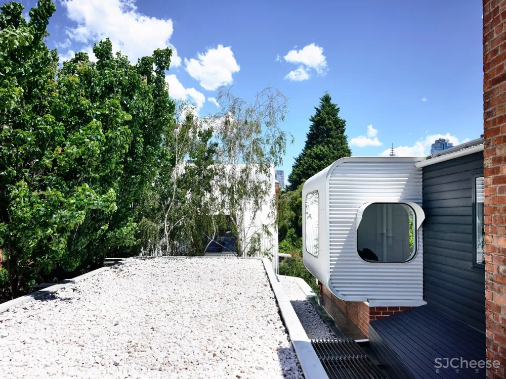 Austin Maynard Architects | King Bill 四口之家