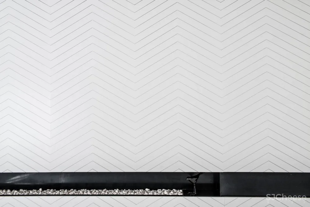 Rooydaad Architects | 光、空间、秩序的建筑模式 Tehran Apartment 首