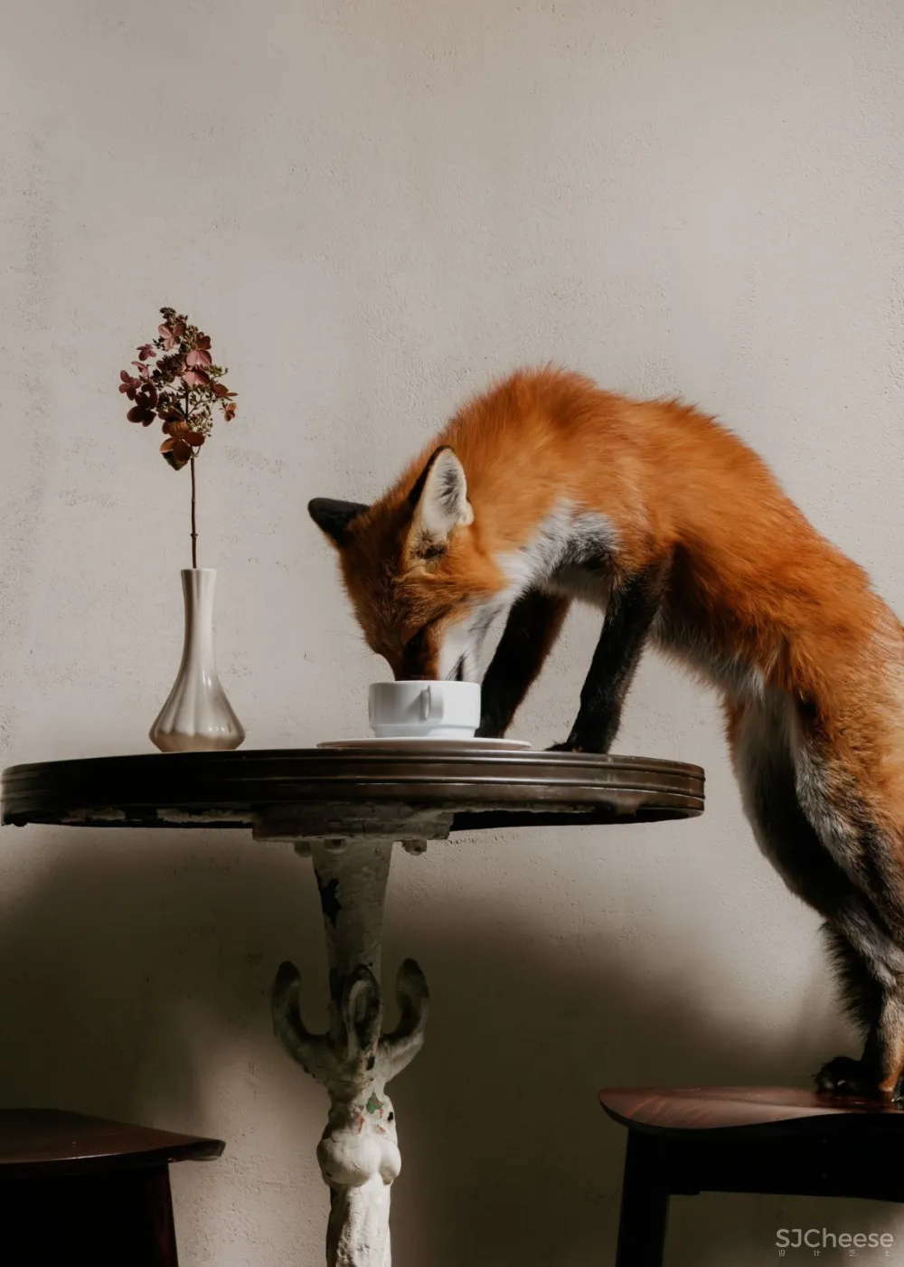 首发 | STE. MARIE ART & DESIGN:加拿大温哥华 LA TANA 咖啡馆