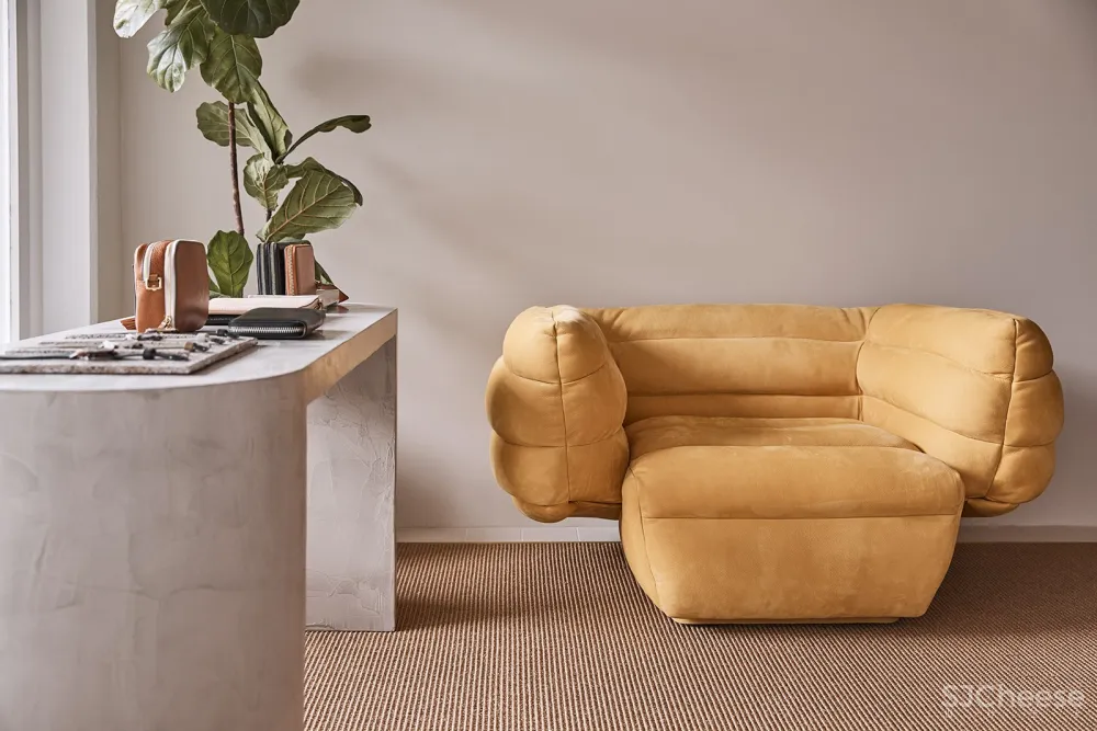 Triibe | 探索空间的内在潜力