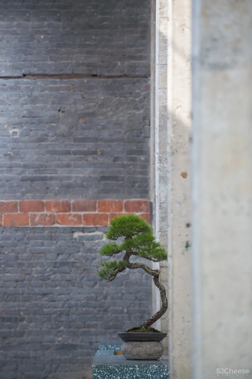 新作 | 耗资1000万,在450 m² 的老建筑内造了8个房子! 首