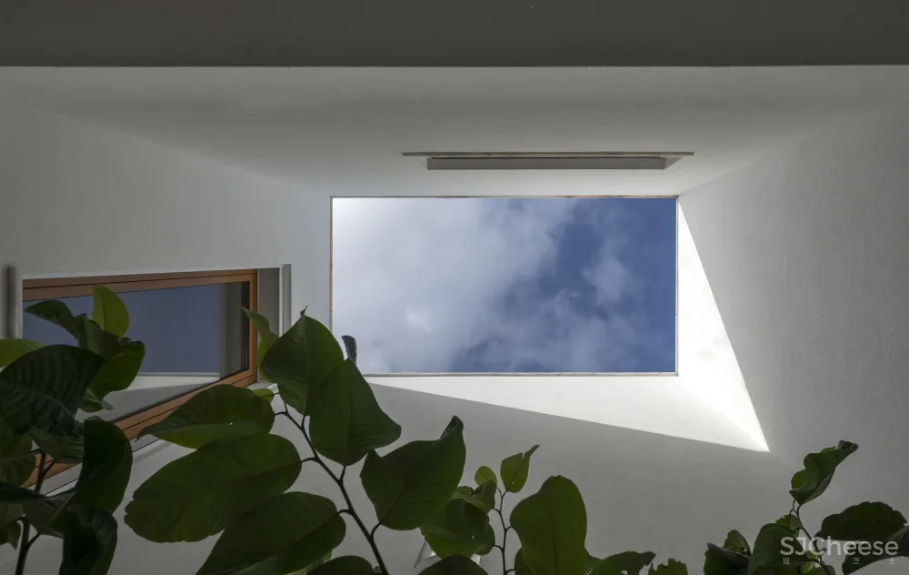 Gonçalo Duarte Pacheco | 葡萄牙南部果园住宅SP House