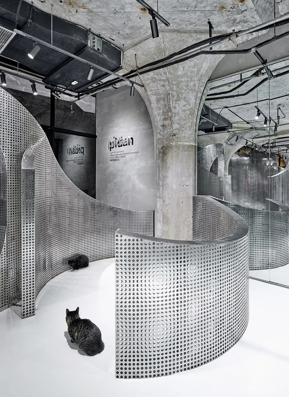 最新 I.F.S.E. SPACE CREATIVE LAB | 上海“动物脊背”零售空间设计 首