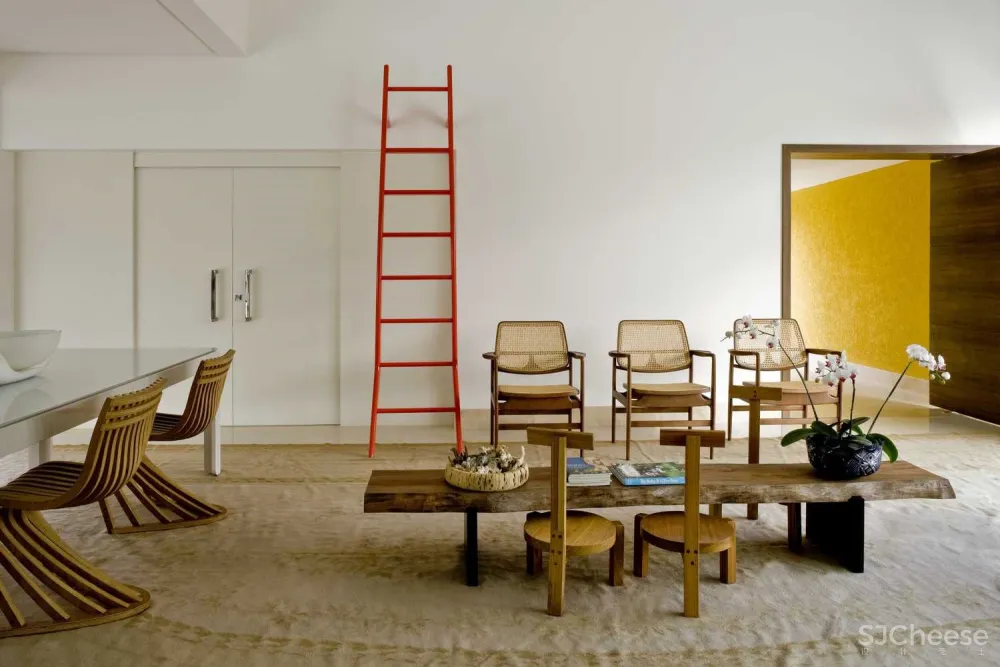 Leo Romano Arquitetura | 空间集成的概念别墅 首