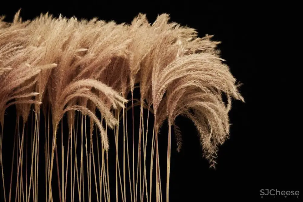 诗入空间,一场‘逐梦’之旅 | 孙天文最新力作 首