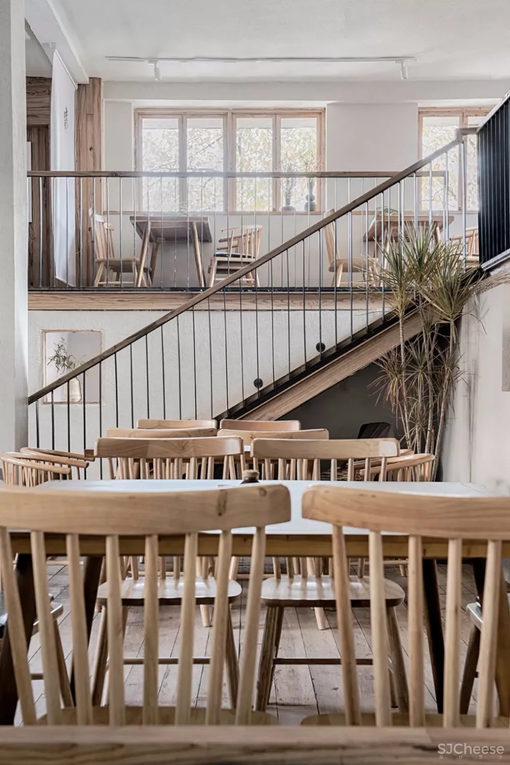 花添酒帝——舒适自然系餐厅 | 素说设计机构