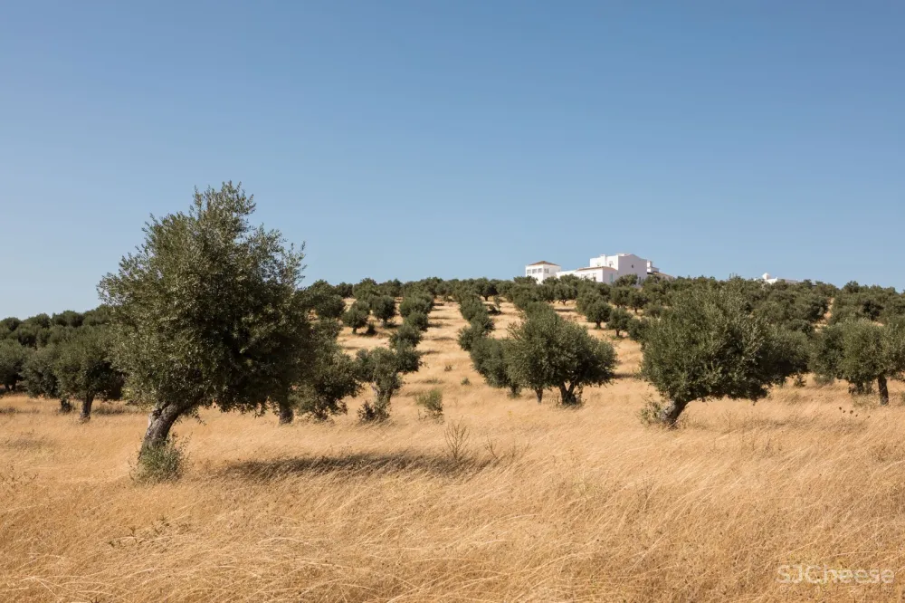 首发 | 葡萄牙手工艺精品酒店 Da Licenca Boutique Hotel