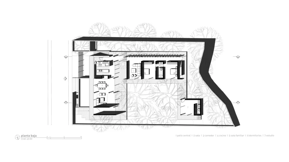Gabriel Rivera Arquitectos | 森林概念住宅 Tacuri House