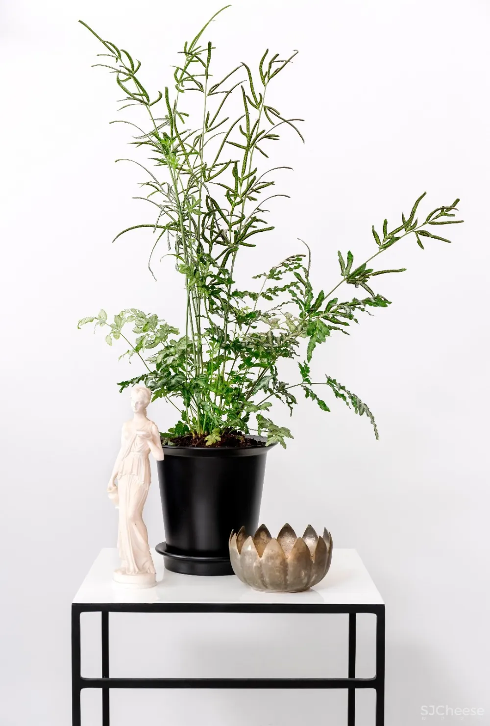 95㎡为退休夫妇准备的公寓 | studio etn