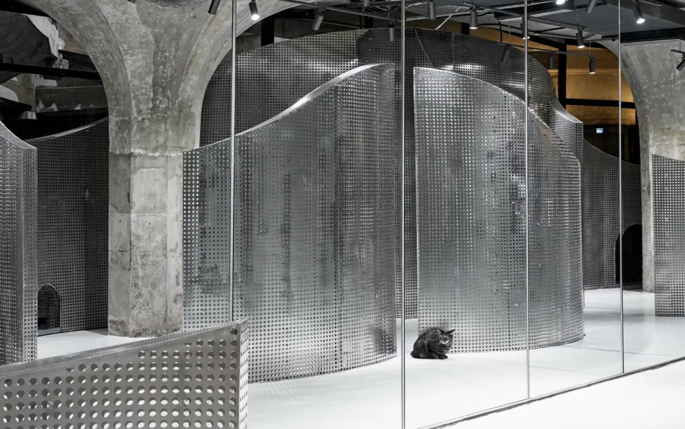 最新 I.F.S.E. SPACE CREATIVE LAB | 上海“动物脊背”零售空间设计 首
