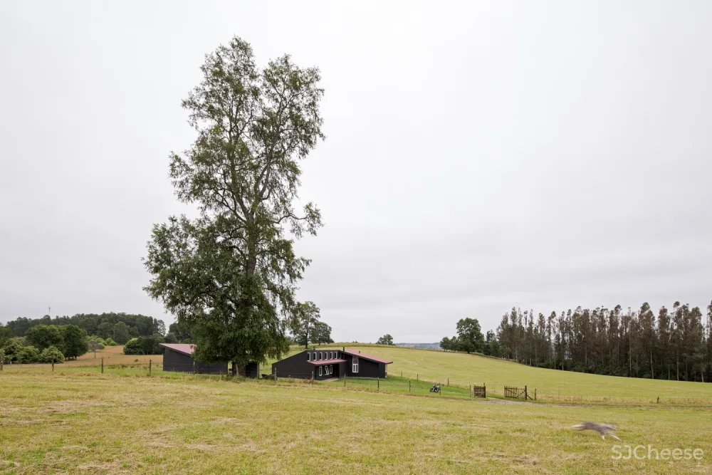 ABESTUDIO | 智利乡村别墅 Casa Panguipulli