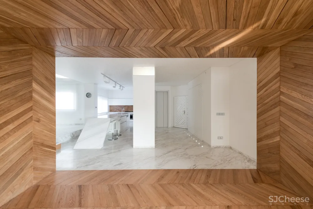 Rooydaad Architects | 光、空间、秩序的建筑模式 Tehran Apartment 首