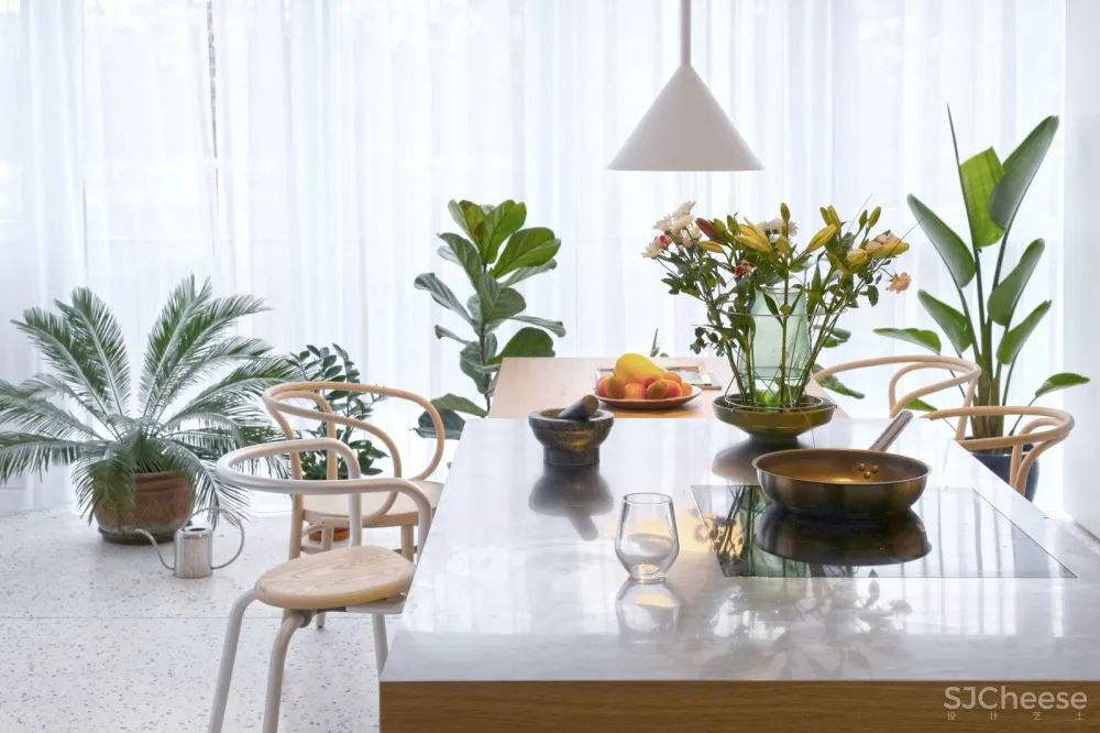 最新 | 绿色植物明亮现代公寓 Mesarska