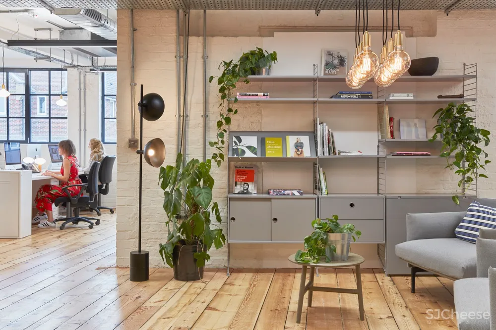 新作 | Archer Architects:Tala Studios伦敦新全球总部