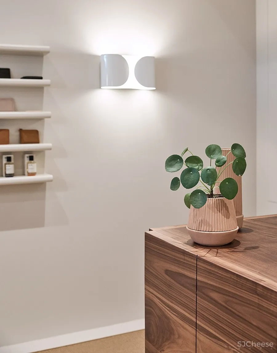 Triibe | 探索空间的内在潜力