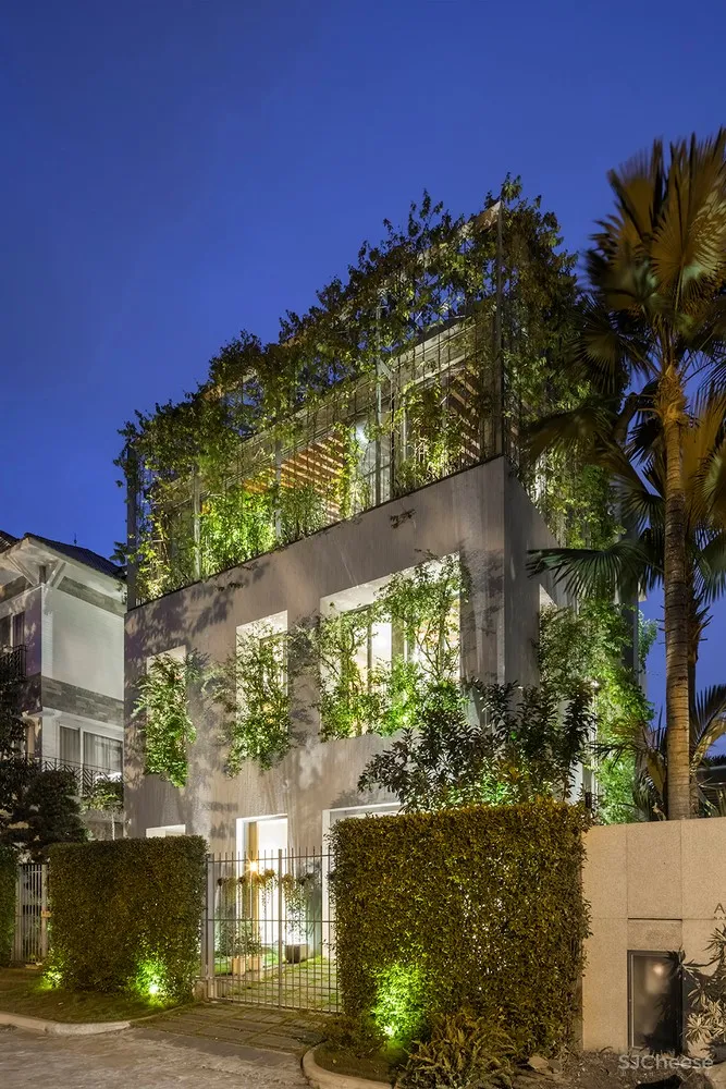 布满绿色植物的住宅 / VTN Architects 首