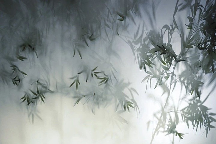 新作 | 日常即道 - 侨信控股办公空间设计之道 首