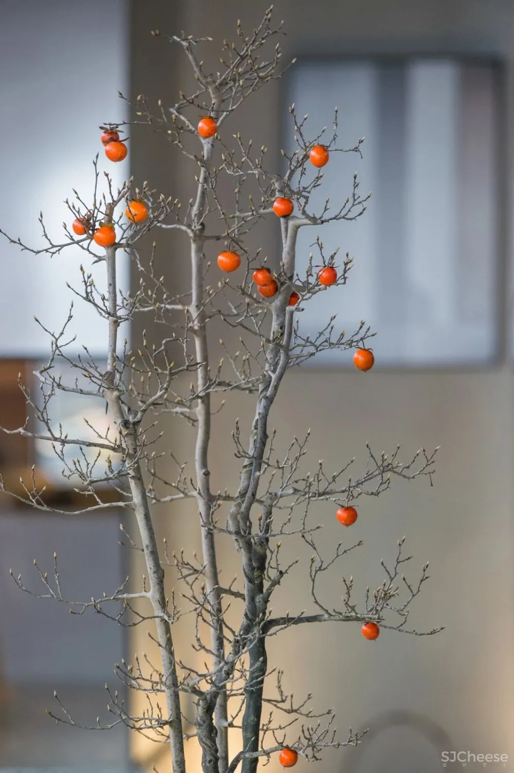 新作 | 耗资1000万,在450 m² 的老建筑内造了8个房子! 首