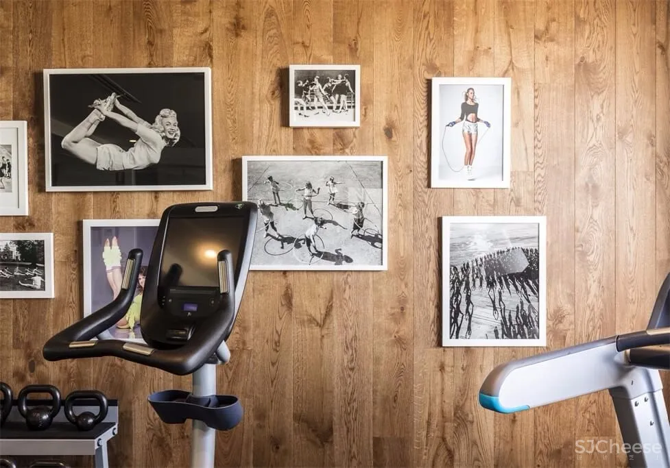 悉尼国际机场旁FELIX艺术酒店 首